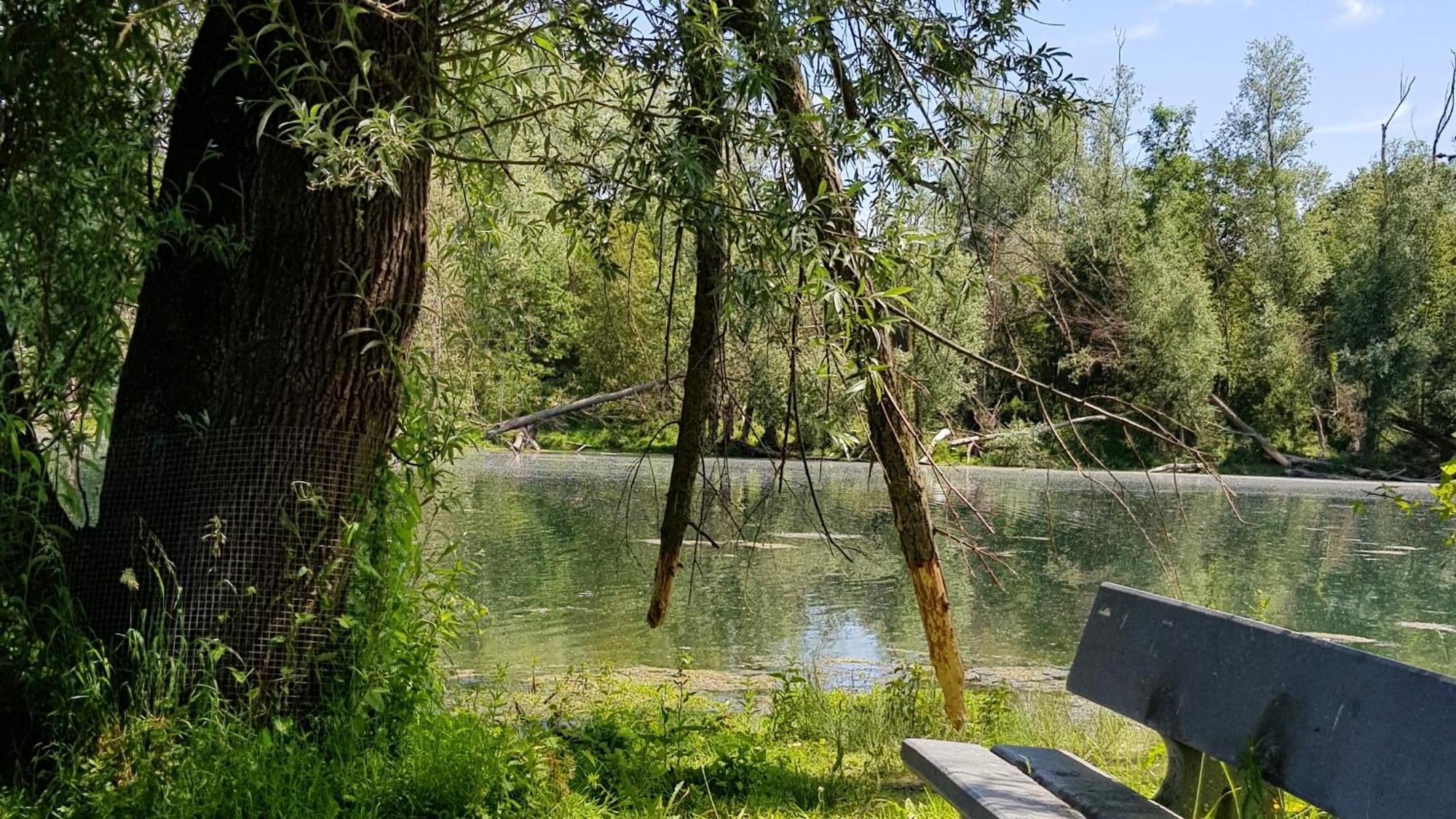 Guesthouse De Wissen Dilsen-Stokkem Exteriör bild